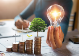 Investor & Capital Alignment Partnership