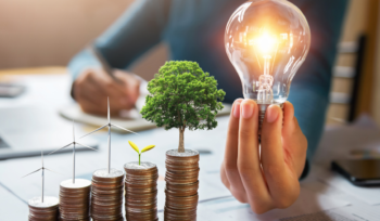 Investor & Capital Alignment Partnership