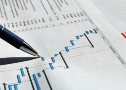 Project-Specific Engagement